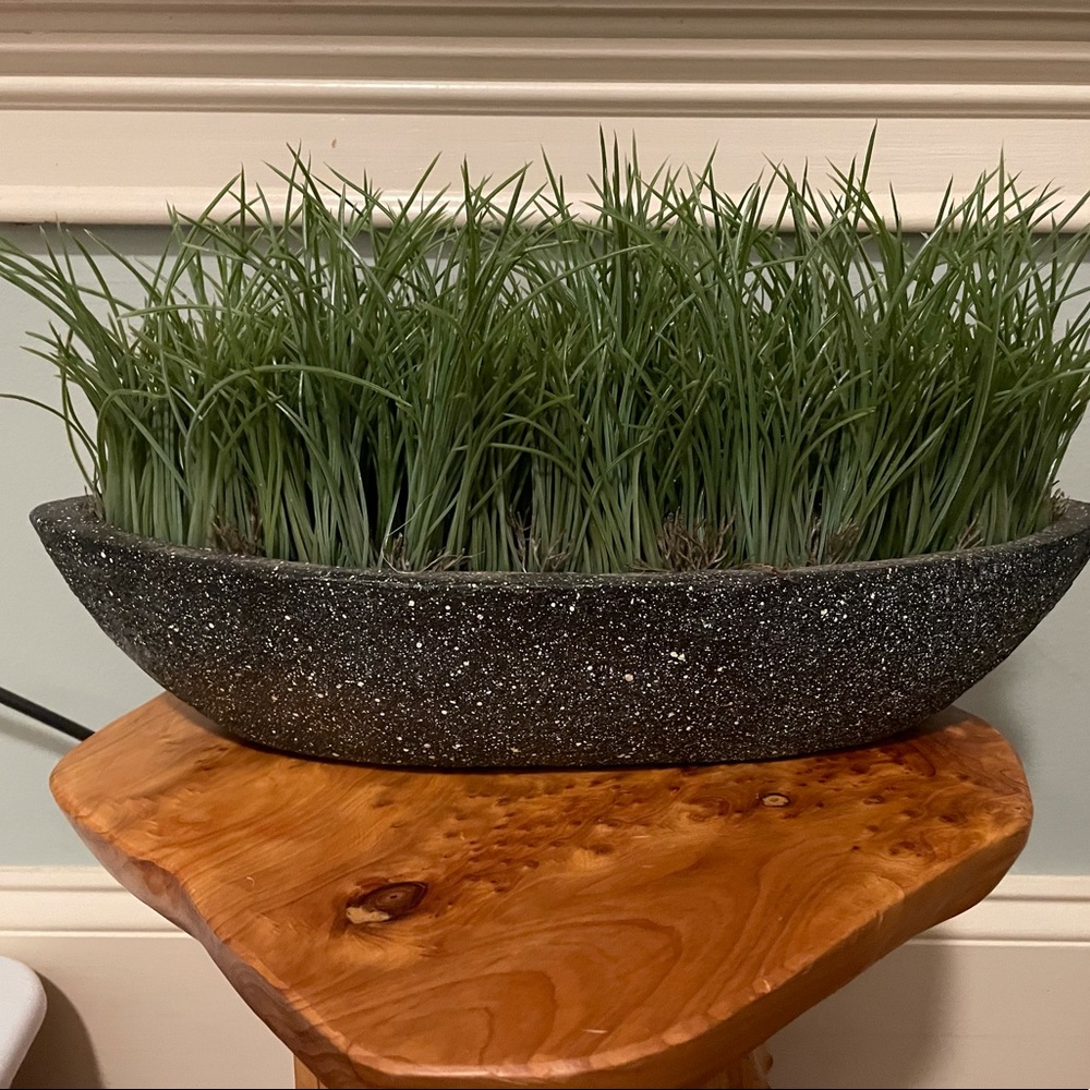 Pier 1 Faux Potted Grass